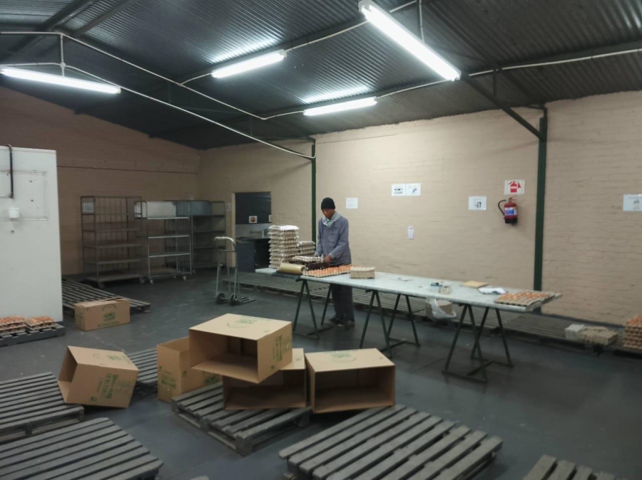 4 Bedroom Property for Sale in Bultfontein Free State